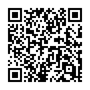 QR code linking to https://deploy-preview-706--hugothemes.netlify.app/themes/docuapi/